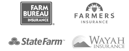 Various insurance brands that sponsor player of the week awards